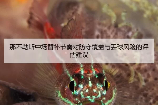 那不勒斯中场替补节奏对防守覆盖与丢球风险的评估建议