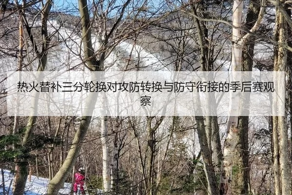 re-huo-ti-bu-san-fen-lun-huan-dui-gong-fang-zhuan-huan-yu-fang-shou-xian-jie-de-ji-hou-sai-guan-cha-3-429.jpg